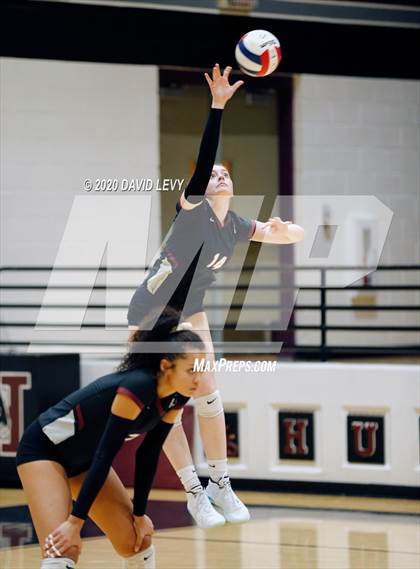 Thumbnail 1 in Basha @ Hamilton photogallery.
