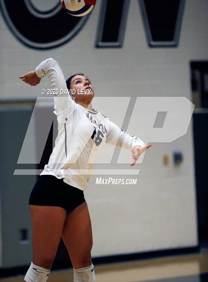 Thumbnail 2 in Basha @ Hamilton photogallery.
