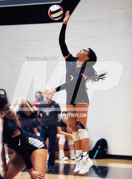Thumbnail 1 in Basha @ Hamilton photogallery.