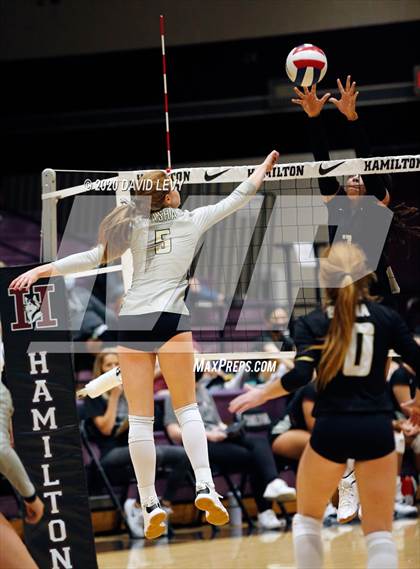 Thumbnail 3 in Basha @ Hamilton photogallery.