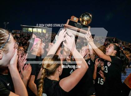 Thumbnail 2 in Salpointe Catholic @ Walden Grove (AIA - 4A Final Awards) photogallery.