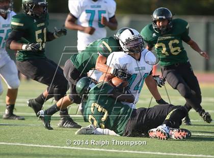 Thumbnail 1 in Sheldon @ Monterey Trail photogallery.