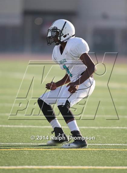 Thumbnail 3 in Sheldon @ Monterey Trail photogallery.