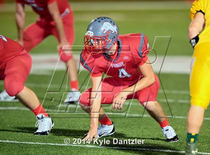 Thumbnail 1 in Boyd @ Ponder photogallery.