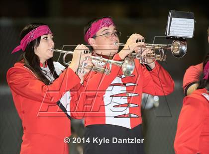 Thumbnail 2 in Boyd @ Ponder photogallery.