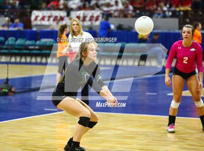 Thumbnail 3 in Fossil Ridge vs Chatfield (CHSAA 5A Semifinal Playoff) photogallery.