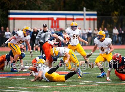 Thumbnail 1 in Butler @ Mountain Lakes photogallery.