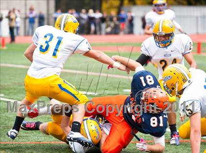 Thumbnail 3 in Butler @ Mountain Lakes photogallery.