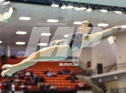 Thumbnail 3 in UIL 5A Swimming & Diving Finals photogallery.