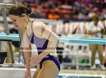 Thumbnail 3 in UIL 5A Swimming & Diving Finals photogallery.