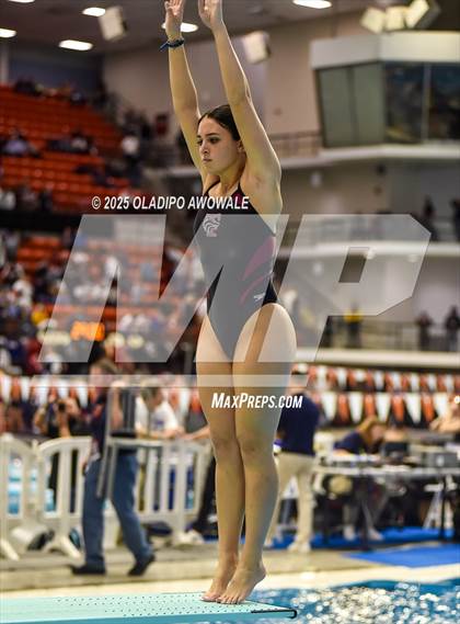 Thumbnail 2 in UIL 5A Swimming & Diving Finals photogallery.