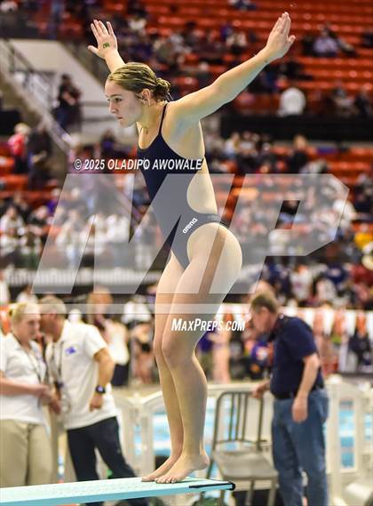 Thumbnail 2 in UIL 5A Swimming & Diving Finals photogallery.
