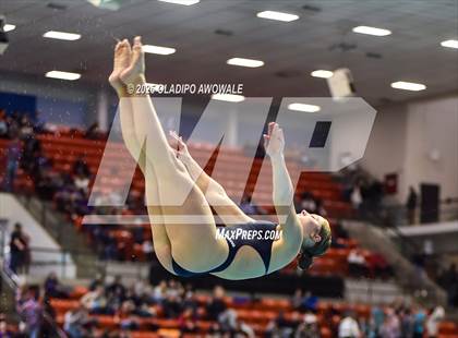 Thumbnail 1 in UIL 5A Swimming & Diving Finals photogallery.