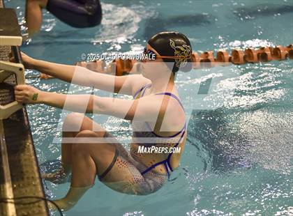 Thumbnail 1 in UIL 5A Swimming & Diving Finals photogallery.