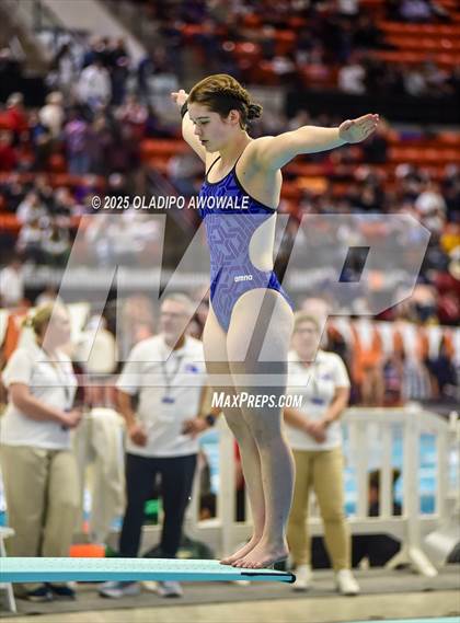 Thumbnail 1 in UIL 5A Swimming & Diving Finals photogallery.