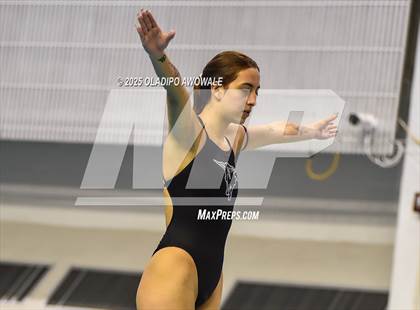 Thumbnail 2 in UIL 5A Swimming & Diving Finals photogallery.