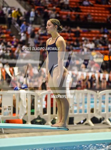 Thumbnail 1 in UIL 5A Swimming & Diving Finals photogallery.