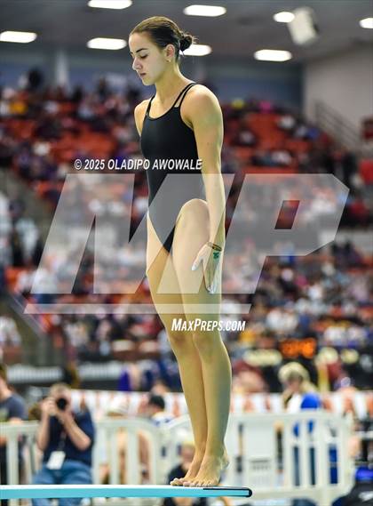 Thumbnail 3 in UIL 5A Swimming & Diving Finals photogallery.