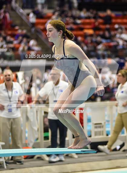 Thumbnail 2 in UIL 5A Swimming & Diving Finals photogallery.