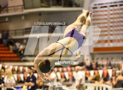 Thumbnail 3 in UIL 5A Swimming & Diving Finals photogallery.