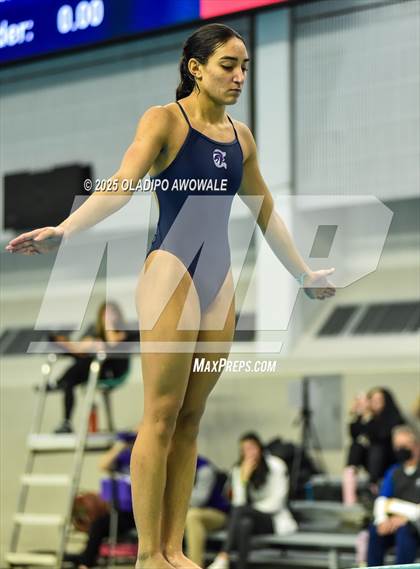 Thumbnail 2 in UIL 5A Swimming & Diving Finals photogallery.