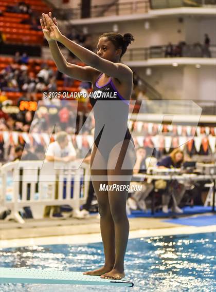 Thumbnail 3 in UIL 5A Swimming & Diving Finals photogallery.