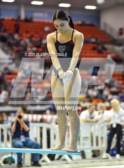 Thumbnail 3 in UIL 5A Swimming & Diving Finals photogallery.
