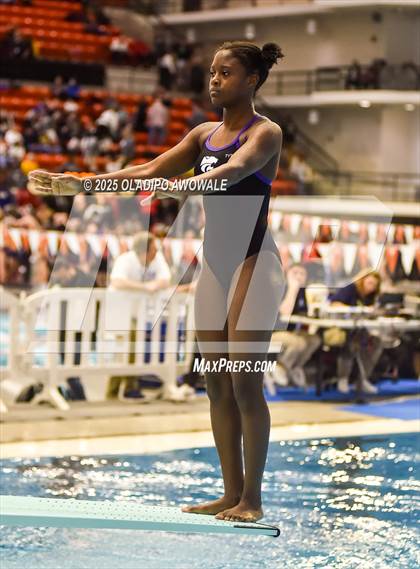 Thumbnail 2 in UIL 5A Swimming & Diving Finals photogallery.