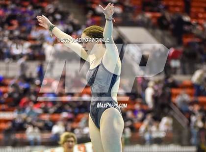Thumbnail 1 in UIL 5A Swimming & Diving Finals photogallery.