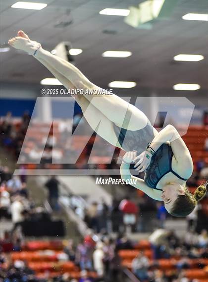 Thumbnail 3 in UIL 5A Swimming & Diving Finals photogallery.