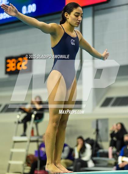 Thumbnail 3 in UIL 5A Swimming & Diving Finals photogallery.