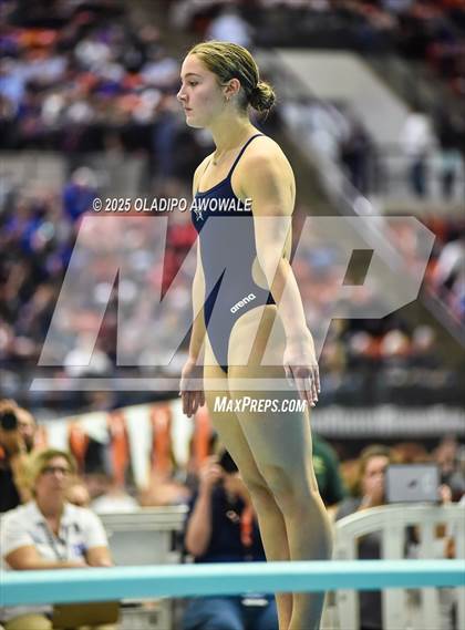 Thumbnail 2 in UIL 5A Swimming & Diving Finals photogallery.