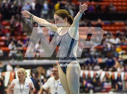 Thumbnail 1 in UIL 5A Swimming & Diving Finals photogallery.