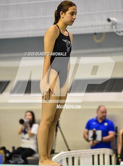 Thumbnail 1 in UIL 5A Swimming & Diving Finals photogallery.