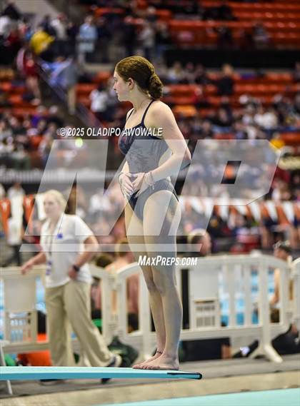 Thumbnail 1 in UIL 5A Swimming & Diving Finals photogallery.