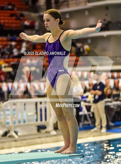 Thumbnail 1 in UIL 5A Swimming & Diving Finals photogallery.