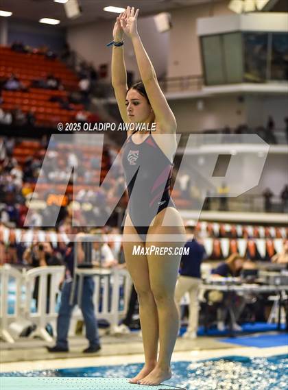 Thumbnail 1 in UIL 5A Swimming & Diving Finals photogallery.
