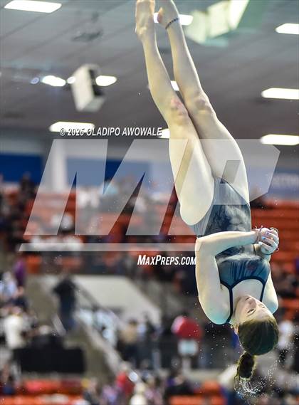 Thumbnail 1 in UIL 5A Swimming & Diving Finals photogallery.