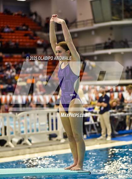 Thumbnail 1 in UIL 5A Swimming & Diving Finals photogallery.
