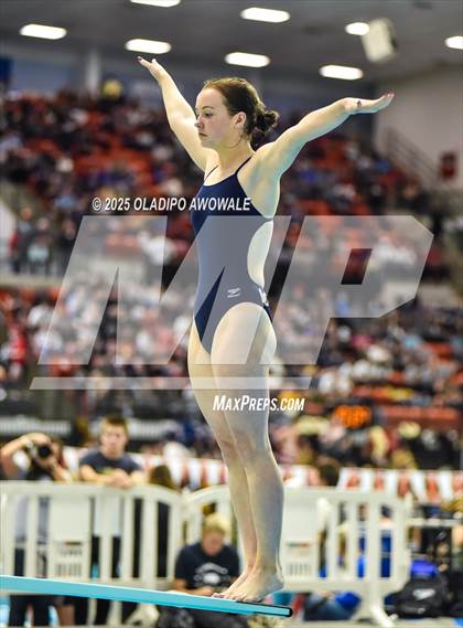 Thumbnail 1 in UIL 5A Swimming & Diving Finals photogallery.