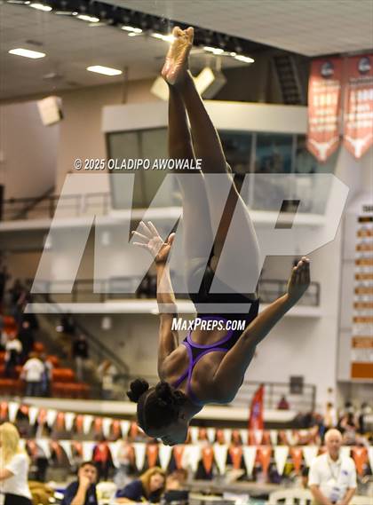 Thumbnail 1 in UIL 5A Swimming & Diving Finals photogallery.