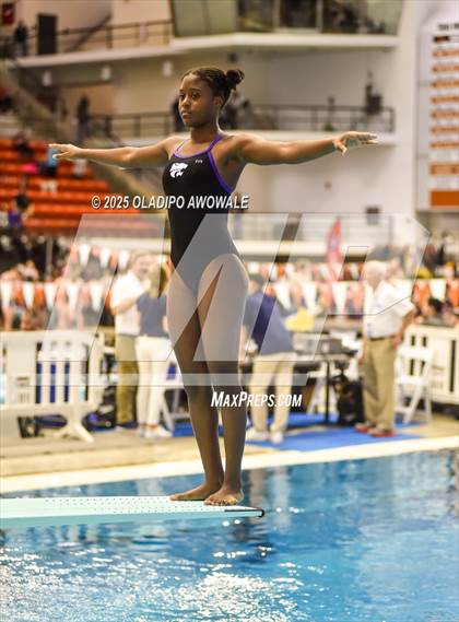 Thumbnail 1 in UIL 5A Swimming & Diving Finals photogallery.