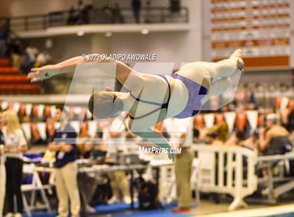 Thumbnail 1 in UIL 5A Swimming & Diving Finals photogallery.