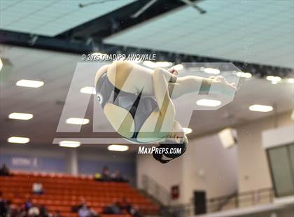Thumbnail 1 in UIL 5A Swimming & Diving Finals photogallery.