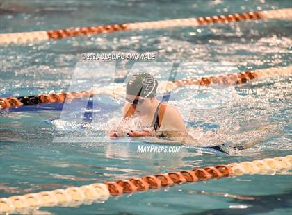 Thumbnail 1 in UIL 5A Swimming & Diving Finals photogallery.