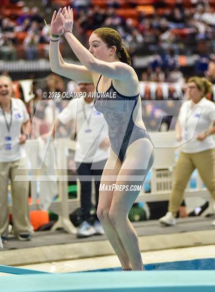 Thumbnail 1 in UIL 5A Swimming & Diving Finals photogallery.