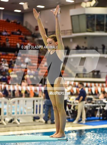 Thumbnail 2 in UIL 5A Swimming & Diving Finals photogallery.