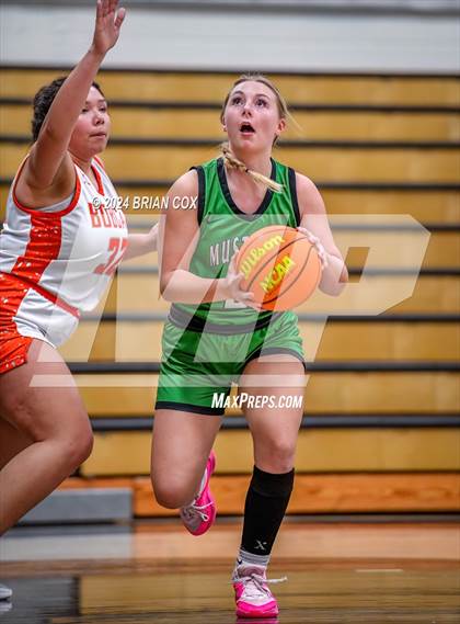Thumbnail 1 in Hoxie vs Walnut Ridge (3A-2 District Tournament) photogallery.