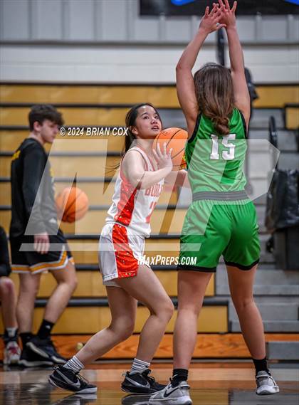 Thumbnail 1 in Hoxie vs Walnut Ridge (3A-2 District Tournament) photogallery.