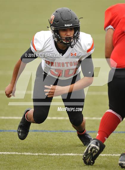 Thumbnail 3 in Springtown @ Diamond Hill-Jarvis photogallery.